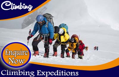 greenland best adventure camp